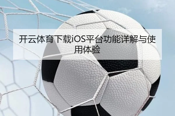 开云体育app下载平台功能详解与使用体验