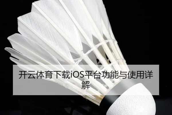 开云体育下载iOS平台功能与使用详解