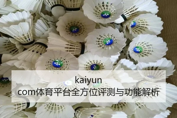kaiyun com体育平台全方位评测与功能解析