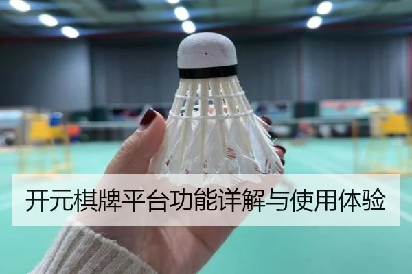 开元棋牌平台功能详解与使用体验